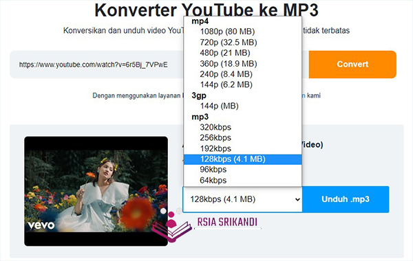 MP3-Now-com-YouTube-MP3-Downloader