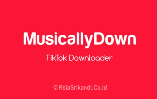 Musicallydown-Download-Video-Tiktok-Tanpa-Watermark-Ternyata-Mudah-Banget-Caranya!