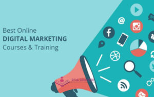 Digital-Marketing-Training